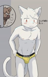 Size: 2400x3840 | Tagged: safe, artist:jinbuuck, oc:tanu (jinbuuck), canid, cat, felid, mammal, tanuki, anthro, boy, boy focus, cub, cub focus, male, young, blushing, breathing, brown fur, bulge, clothing, detailed bulge, duo, fingers, fur, happy, kemono, kemoshota, nipples, open mouth, red eyes, solo focus, speedo, swimsuit, swimwear, tail, text, topless, undressing, undressing self, voyeur, yellow speedo