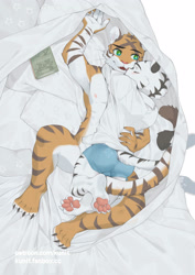 Size: 2000x2829 | Tagged: safe, artist:ku-n, big cat, felid, mammal, tiger, adult, adult/teen, adult/young, anthro, athletic, boy, cub, male, male/male, man, man/boy, teen, young, age difference, bed, blushing, boxer-briefs, bulge, butt, clothing, duo, eyes closed, fur, green eyes, hair, hug, kemono, lying, nipples, nudity, orange fur, pillow, striped fur, stripes, tail, underwear, white fur
