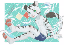 Size: 3000x2121 | Tagged: safe, artist:ku-n, big cat, felid, mammal, tiger, anthro, boy, cub, male, plantigrade, slender, solo boy, solo male, solo teen, teen, young, 4 toes, areola, barefoot, blushing, claws, clothing, fang, feet, finger claws, fingers, fur, green eyes, kemono, legs up, long tail, looking at you, open mouth, pawpads, paws, raised tail, sitting, smiling, smiling at you, solo, speedo, striped fur, striped tail, stripes, swimsuit, swimwear, tail, teeth, toe claws, toes, topless, water, white fur
