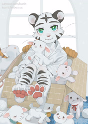 Size: 2000x2829 | Tagged: safe, artist:ku-n, big cat, felid, mammal, tiger, anthro, boy, cub, male, plantigrade, solo boy, solo male, solo teen, teen, young, 4 toes, 5 fingers, barefoot, box, claws, clothing, curling toes, dress shirt, eyebrows, faceless character, feet, finger claws, fingers, fur, hug, hugging object, in box, in container, kemono, looking at you, mouth closed, orange fur, pawpads, paws, plushie, sitting, smiling, solo, solo focus, striped fur, striped tail, stripes, tail, toe claws, toes, whiskers, white fur