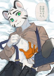 Size: 1748x2480 | Tagged: suggestive, artist:ku-n, big cat, felid, mammal, tiger, anthro, anthro/anthro, boy, cub, male, male/male, slender, solo boy, solo male, solo teen, teen, young, 5 fingers, bedding, bedroom eyes, blushing, claws, clothing, dialogue, dress shirt, duo, eyebrows, faceless character, finger claws, fingers, fist, fur, green eyes, humanoid hands, japanese text, kemono, looking at another, looking at partner, lying, mouth closed, nudity, on back, on bed, open fly, open shirt, pants, pupils, smiling, smiling at partner, solo focus, stripes, suspenders, talking to another, talking to partner, text, touching chest, unbuttoned pants, whiskers, white fur