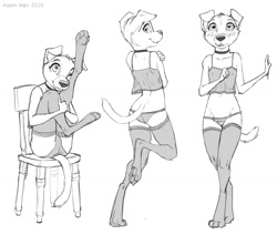 Size: 1500x1269 | Tagged: safe, artist:zaush, canid, dog, labrador, mammal, anthro, cub, female, girl, solo cub, solo female, solo girl, young, reference sheet, blushing, chair, choker, clothing, collar, digitigrade, flat breasts, fur, jewelry, lingerie, looking at you, necklace, nightie, panties, pants, pawpads, paws, sitting, sleepwear, solo, standing, stockings, thigh highs, underwear