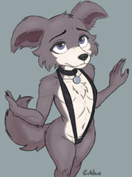 Size: 1199x1600 | Tagged: suggestive, artist:makebelieve1, juno, canid, mammal, wolf, anthro, cub, cubs only, female, females only, girl, girls only, slender, solo cub, solo female, solo girl, young, beastars, colored, digital, aged down, clothing, collar, high-angle view, legs together, looking up, navel, sling bikini, small breasts, solo, spread arms