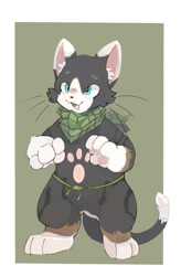 Size: 1313x2000 | Tagged: safe, artist:chinchilla, cat, felid, mammal, ambiguous gender, anthro, chibi, semi-anthro, colored, digital, flat colored, barefoot, belt, blue eyes, digitigrade, ear fluff, front view, full-length portrait, neckerchief, open mouth, open smile, pawprint, pawprint marking, smiling, solo, standing, whiskers