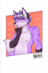 Size: 848x1280 | Tagged: safe, artist:malachyte, oc:kelix malachite, canid, fox, mammal, red fox, boy, male, solo boy, solo male, solo teen, teen, young, traditional, badge, bust portrait, clothing, licking lips, looking at you, nipples, purple fur, smiling, solo, topless, winking