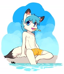 Size: 2342x2710 | Tagged: safe, artist:whiteleo, arctic fox, canid, fox, mammal, vulpine, anthro, boy, cub, male, solo boy, solo cub, solo male, young, black fur, bulge, clothing, cyan eyes, cyan hair, food, fur, nipples, popsicle, popsicle in mouth, solo, suggestive food, swimsuit, white fur