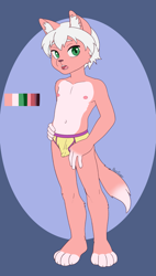 Size: 1087x1914 | Tagged: suggestive, artist:foxyfaxer, oc:carter (foxyfaxer), cat, felid, mammal, anthro, boy, cub, male, plantigrade, solo boy, solo cub, solo male, young, reference sheet, 2018, briefs, color swatch, fur, green eyes, hair, nipples, pink fur, solo, underwear, white fur