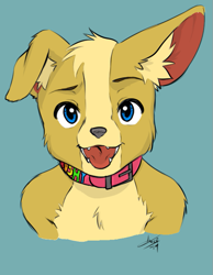 Size: 563x725 | Tagged: safe, artist:aogami, colorist:kibaru, oc:joshy (kibaru), canid, corgi, dog, mammal, anthro, boy, cub, male, solo boy, solo cub, solo male, young, colored, flat colored, sketch, 2019, blue eyes, bust portrait, collar, looking at you, open mouth, smiling, solo