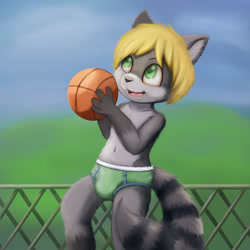 Size: 3000x3000 | Tagged: safe, artist:bouncy, oc:bugs46, mammal, raccoon, anthro, boy, cub, male, solo boy, solo cub, solo male, young, colored, digital, fully shaded, lineless, painted, basketball, blonde hair, briefs, bulge, clothing, colored briefs, daytime, gray fur, green eyes, hair, navel, open mouth, outdoors, playing, smiling, solo, sports, standing, sweat, tail, topless, underwear