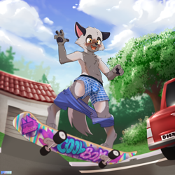 Size: 2000x2000 | Tagged: suggestive, artist:spunkie, oc:samaliel, arctic fox, canid, fox, mammal, vulpine, anthro, boy, cub, male, solo boy, solo cub, solo male, young, action pose, amber eyes, blushing, boxers, bulge, car, clothing, daytime, featureless chest, kemono, kemoshota, nervous, open mouth, outdoors, skateboard, skateboarding, solo, sports, sweat, topless, underwear, wardrobe malfunction