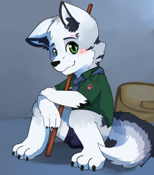Size: 2894x3270 | Tagged: suggestive, artist:kake0078, oc:reiu (httpprot), arctic fox, canid, fox, mammal, vulpine, anthro, boy, cub, male, plantigrade, solo boy, solo cub, solo male, young, cub scouts, alternate version, cel shaded, colored, digital, balls, blushing, bulge, clothing, cub scout uniform, fur, gray fur, green eyes, kemono, kemoshota, looking at you, pawpads, smiling, solo, tail, tent, toe claws, underwear, uniform, white fur