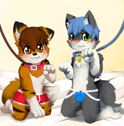 Size: 1263x1276 | Tagged: suggestive, artist:kake0078, oc:todes kiddy, canid, dog, fox, husky, mammal, red fox, siberian husky, anthro, boy, boys only, cub, cubs only, male, males only, plantigrade, young, black fur, blue hair, blushing, boxer-briefs, brown eyes, brown fur, clothing, collar, duo, featureless chest, fur, green eyes, hair, jockstrap, kemono, kemoshota, leash, off-screen character, orange fur, stripes, topless, underwear, white fur