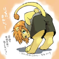 Size: 764x760 | Tagged: safe, artist:pikanodannna, oc:leo (pikanodannna), big cat, felid, lion, mammal, anthro, boy, cub, male, young, bent over, butt, clothing, fully clothed, green eyes, hair, kemono, kemoshota, looking back, presenting, presenting hindquarters, raised tail, shorts, solo, tail, text