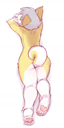 Size: 858x1705 | Tagged: safe, artist:kemokiu, oc:yam (kemokiu), canid, dog, mammal, anthro, boy, cub, male, plantigrade, solo boy, solo cub, solo male, young, butt, curly tail, fur, kemono, kemoshota, nudity, pawpads, solo, white fur, yellow fur