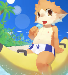 Size: 1000x1100 | Tagged: safe, artist:mokikun, canid, mammal, boy, cub, male, young, beach, brown eyes, bulge, clothing, daytime, food, holding popsicle, kemono, kemoshota, navel, nipples, open mouth, outdoors, palm tree, pool float, popsicle, sand, straddling, suggestive food, sun, swimsuit, tongue out, topless, tree, water