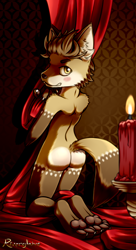 Size: 600x1100 | Tagged: suggestive, artist:riverglaive, oc:kingsley, canid, fox, mammal, anthro, boy, cub, male, solo boy, solo cub, solo male, young, amber eyes, blushing, brown fur, digitigrade, fur, kneeling, looking at you, pawpads, solo, tan fur, toe claws, white fur