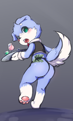 Size: 997x1653 | Tagged: safe, artist:nobusuke, oc:mint (mintea), canid, dog, mammal, anthro, boy, cub, male, young, alcohol, beverage, blue fur, blushing, bowtie, butt, clothing, food, fur, kemono, kemoshota, looking at you, looking back, money, open mouth, panties, pawpads, rear view, solo, stripper, teal eyes, underwear, vest, white fur