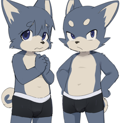 Size: 1000x995 | Tagged: safe, artist:marimo manmosu, oc:nino inukai, oc:san inukai, canid, dog, mammal, cub, male, young, series:inukai brothers, cel shaded, digital, annoyed, boxer-briefs, brothers, bulge, clothing, duo, looking away, nervous, siblings, topless, underwear
