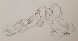 Size: 3954x2098 | Tagged: non-con, suggestive, artist:aikoswag, edd, canid, dog, human, mammal, ambiguous gender, anthro, anthro/human, boy, kid, male, male/ambiguous, young, ed edd n eddy, monochrome, sketch, traditional, beanie, butt kiss, clothing, dubcon, duo, hat, kissing, leg grab, pawpads, paws, shirt, shoes, shorts, shotacon, t-shirt, tail, wagging tail