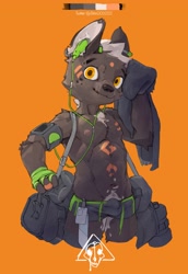 Size: 2815x4096 | Tagged: safe, artist:暂无使用名称, canid, dog, mammal, anthro, athletic, cub, male, solo cub, solo male, young, bodypaint, bulge, clothing, earbuds, front view, grey body, gym bag, half-length portrait, looking at you, mobile phone, nipples, pecs, phone, short shorts, shorts, smiling, smiling at you, solo, topless, wiping forehead, wraps