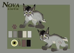Size: 4200x3000 | Tagged: safe, artist:hailberry, oc:nova (hailberry), big cat, felid, lynx, mammal, cub, female, feral, solo cub, solo female, young, reference sheet, color swatch, front view, looking at you, looking back, multiple poses, nervous, scar, side view, solo