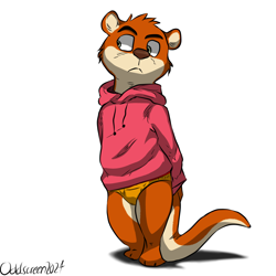 Size: 1000x1000 | Tagged: safe, artist:oddscreen, oc:lotter, mammal, mustelid, otter, anthro, cub, cubs only, male, males only, slender, solo cub, solo male, young, hoodie/briefs meme, cel shaded, digital, arms behind back, briefs, clothing, drawstring, front view, frown, fur, green eyes, hoodie, looking away, oversized shirt, posing, red clothing, red hoodie, snout, solo, suspicious, tail, topwear, underwear