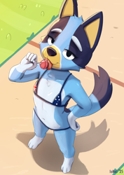 Size: 2480x3508 | Tagged: suggestive, artist:ionai, bluey heeler, australian cattle dog, canid, dog, mammal, anthro, cub, cubs only, female, girl, solo cub, solo female, solo girl, young, bluey, colored, digital, 3 toes, 4 fingers, australian flag, australian flag bikini, bedroom eyes, bikini, blue body, candy, clothing, feet, flag bikini, flat breasts, food, full-length portrait, half-closed eyes, hand on hip, high-angle view, holding food, holding object, licking, licking lollipop, lollipop, looking at you, narrowed eyes, navel, outdoors, plant, saliva, smiling, solo, standing, string bikini, swimwear, tail, tongue out, two-piece swimsuit