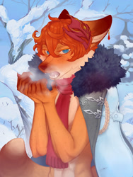 Size: 960x1280 | Tagged: safe, artist:limonocot, tartaglia, canid, fox, mammal, anthro, male, males only, slender, solo male, twink, genshin impact, colored, digital, 5 fingers, alternate species, blue eyes, breath, clothing, coat, cold, daytime, ear piercing, fingers, furrified, hair, looking at you, navel, open clothing, open mouth, orange body, orange hair, outdoors, piercing, scarf, short hair, solo, tail, winter