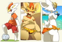 Size: 1280x860 | Tagged: suggestive, artist:warito moeru, cinderace, generation 8 pokemon, pokemon (species), anthro, chubby, femboy, male, solo teen, teen, pokémon, 3 toes, amber eyes, anthrofied, ball, barefoot, beach, buckteeth, bulge, butt, clothing, cloud, drinking, feet, front view, fur, happy, hiked up shirt, indoors, looking at you, looking away, multiple scenes, navel, open mouth, outdoors, raised tail, rear view, sea, seaside, serious, shirt, side view, side-tie clothing, sky, soccer ball, soccer uniform, solo, sports uniform, sportswear, standing, step pose, tail, teeth, toes, topwear, towel, towel around waist, underwear, uniform, waistband pull, water, white body, white fur, wide hips