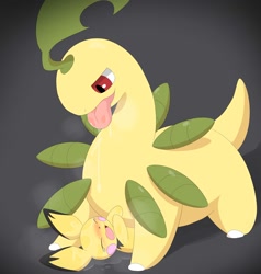 Size: 1900x2000 | Tagged: suggestive, artist:parupoke, bayleef, generation 2 pokemon, generation 4 pokemon, pichu, pokemon (species), ambiguous gender, feral, pokémon, cel shaded, colored, digital, blushing, dripping, dripping saliva, duo, eyes closed, full-length portrait, long neck, looking at another, lying, lying on back, on back, open mouth, pinned, red eyes, saliva, size difference, standing, tail, tears, tongue, tongue out, yellow body