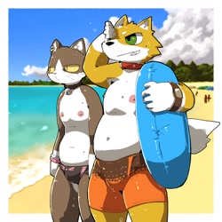 Size: 1220x1220 | Tagged: safe, artist:warito moeru, oc:hachiware, oc:nameless character, canid, cat, dog, felid, mammal, shiba inu, anthro, chubby, male, 5 fingers, beach, bell, bell collar, black body, black fur, bodily fluids, bulge, clenched teeth, clock, clothing, cloud, collar, duo, fingers, fur, green eyes, happy, inflatable, inner tube, jammer, navel, nipples, orange body, orange fur, outdoors, pool float, sea, seaside, serious, sky, speedo, summer, sweat, swim trunks, swimsuit, swimwear, swimwear only, teeth, topless, water, wiping forehead, wristwatch, yellow sclera