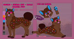 Size: 2623x1405 | Tagged: safe, artist:asmartist, oc only, oc:cosmo (sweerpotato), canid, dog, mammal, shiba inu, cub, cubs only, feral, male, males only, solo cub, solo male, young, reference sheet, blep, closed smile, collar, color swatch, curly tail, looking at you, multiple poses, pawpads, smiling, solo, tail, tongue out