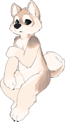 Size: 1596x2983 | Tagged: safe, artist:sethiova, oc:arlo husky, canid, dog, husky, mammal, anthro, cub, cubs only, male, males only, solo cub, solo male, young, digital, curly tail, featureless crotch, holding arm, looking at you, sitting, solo, tail, transparent background