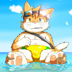 Size: 1500x1500 | Tagged: safe, artist:nakayan, oc:water survivalgame cat, cat, felid, mammal, anthro, cub, cubs only, fat, male, males only, plantigrade, solo cub, solo male, young, alternate version, alternate version at source, annoyed, barefoot, blush lines, bulge, clenched teeth, clothing, detailed bulge, dripping water, front view, full-length portrait, goggles, goggles on head, heterochromia, leaning on one arm, looking at you, navel, pawpads, sitting, sitting in water, solo, speedo, swimsuit, topless, wet, whiskers