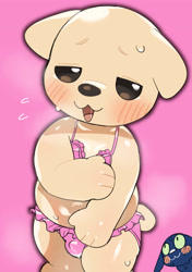 Size: 2237x3175 | Tagged: suggestive, artist:rinrindoujin, bits, bops, canid, cat, dog, felid, mammal, chibi, chubby, bits and bops, beady eyes, blushing, bra, bulge, clothing, covering self, crossdressing, duo, embarrassed, expression avatar, frilly clothing, front view, knock-kneed, looking at you, naughty face, open mouth, panties, pink bra, pink panties, solo focus, standing, sweating, three-quarter portrait, underwear, underwear only